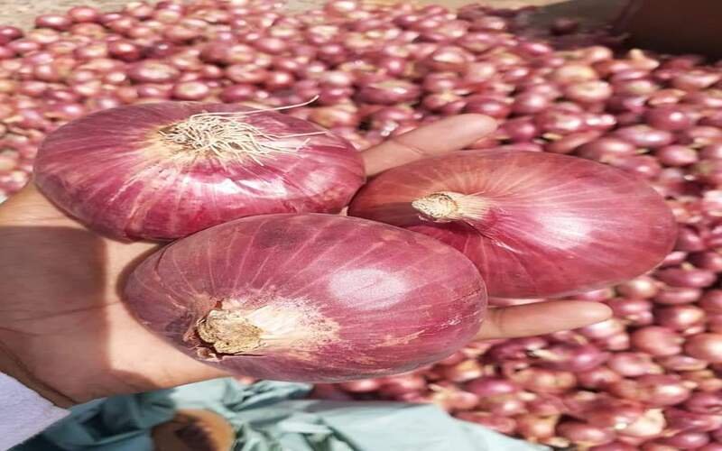 FB_IMG_1566799210826-1