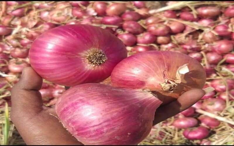 FB_IMG_1566801914323-1