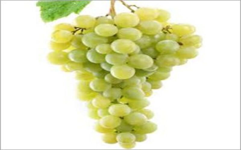 Fresh-Ganesh-Seedless-Grapes1